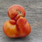 Are the Beauty Standards for Fruits & Vegetables Unfair?