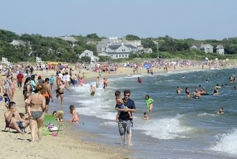 Plan your Friday: Fun things to do tomorrow on Cape Cod!